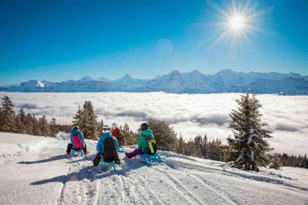 Chalet Mignon - Your Vacation Oasis At Lake Brienz Bönigen エクステリア 写真