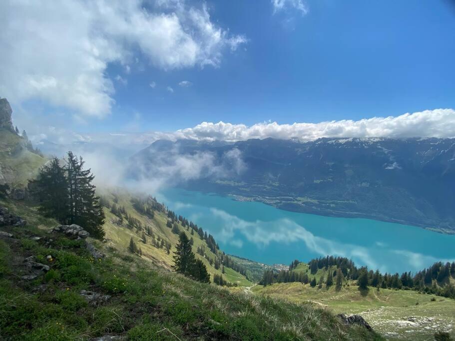 Chalet Mignon - Your Vacation Oasis At Lake Brienz Bönigen エクステリア 写真