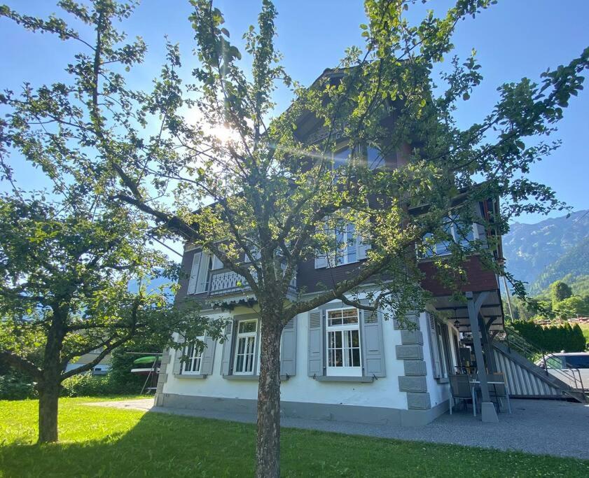 Chalet Mignon - Your Vacation Oasis At Lake Brienz Bönigen エクステリア 写真